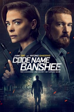 Code Name Banshee FRENCH BluRay 1080p 2022