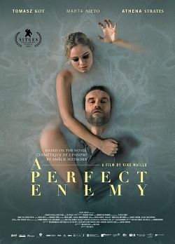 A Perfect Enemy FRENCH WEBRIP 1080p 2022
