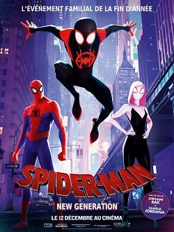 Spider-Man : New Generation FRENCH BluRay 720p 2018