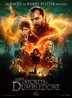 Les Animaux Fantastiques : les Secrets de Dumbledore TRUEFRENCH WEBRIP MD 720p 2022