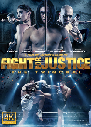 Fight for Justice FRENCH DVDRIP LD 2020