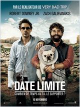 Date limite FRENCH DVDRIP 2010