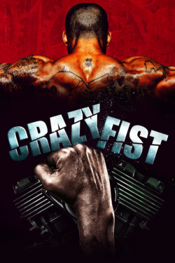 Crazy Fist FRENCH WEBRIP 1080p 2021