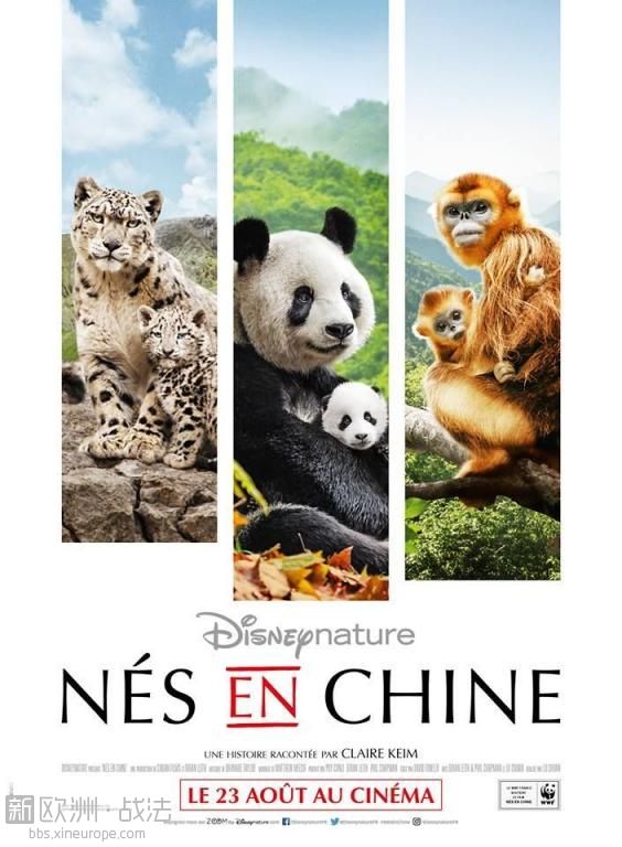 Nés en Chine FRENCH BluRay 720p 2017