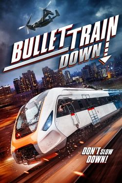 Bullet Train Down FRENCH WEBRIP LD 2022