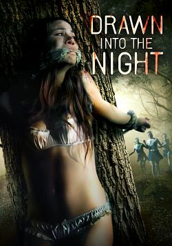Drawn Into the Night FRENCH WEBRIP LD 720p 2022