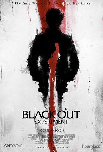 The Blackout Experiment FRENCH WEBRIP LD 720p 2021