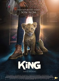 King FRENCH WEBRIP 720p 2022