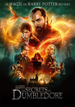Les Animaux Fantastiques : les Secrets de Dumbledore FRENCH BluRay 1080p 2022