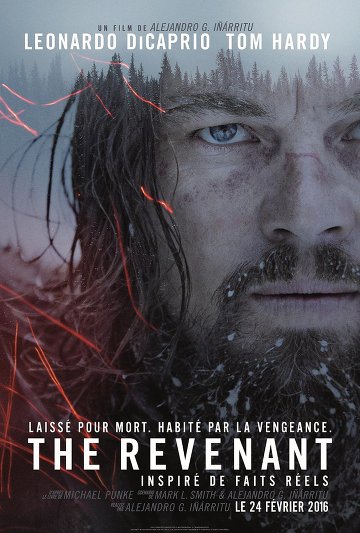 The Revenant FRENCH DVDRIP x264 2016