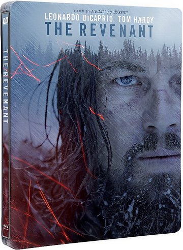 The Revenant FRENCH BluRay 720p 2016