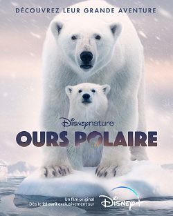 Ours Polaire FRENCH WEBRIP 1080p 2022