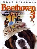 Beethoven 3 FRENCH DVDRIP 2000