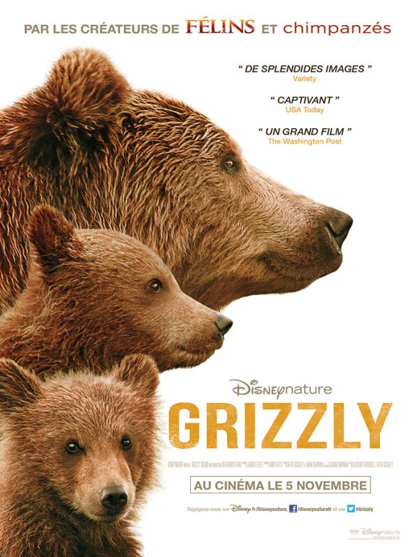 Grizzly FRENCH HDLight 1080p 2014