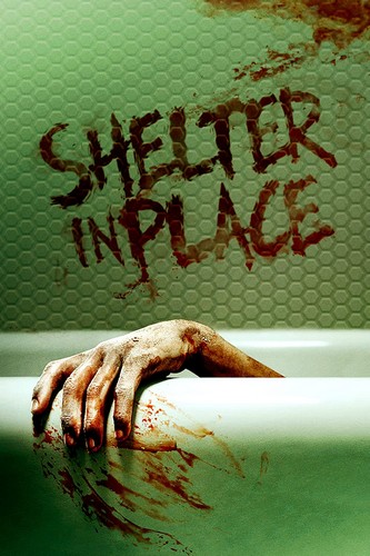 Shelter in Place FRENCH WEBRIP LD 2021