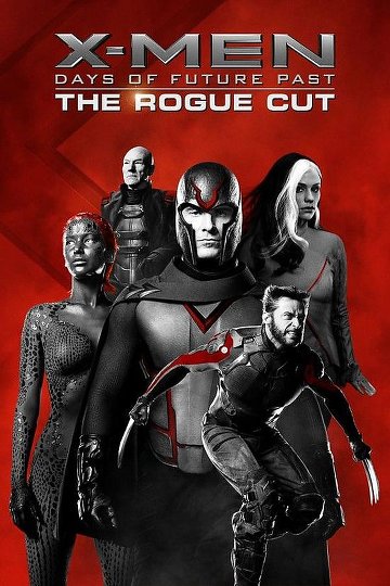 X-Men: Days of Future Past TRUEFRENCH DVDRIP ROGUE CUT 2014