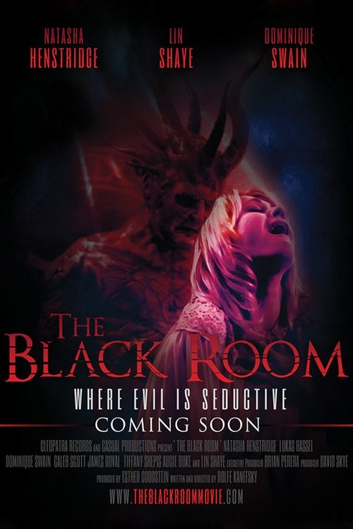 The Black Room FRENCH WEBRIP 2017