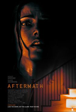 Aftermath FRENCH WEBRIP 1080p 2021