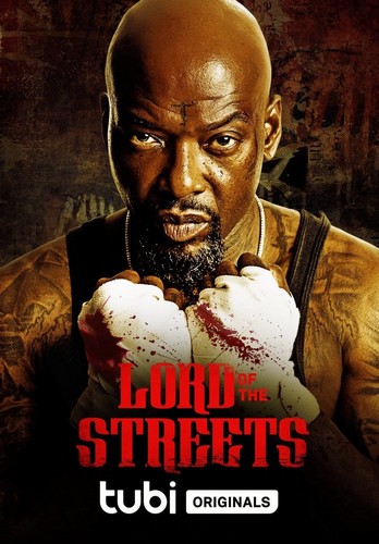 Lord of the Streets FRENCH WEBRIP LD 720p 2022