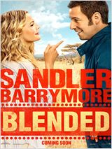 Blended FRENCH DVDRIP AC3 2014