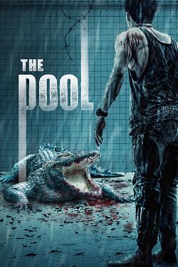 The Pool FRENCH DVDRIP 2021