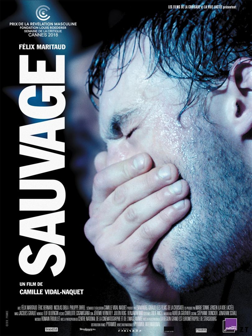 Sauvage FRENCH DVDRIP 2019