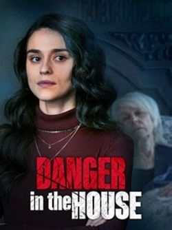 Danger in the House FRENCH WEBRIP 2022
