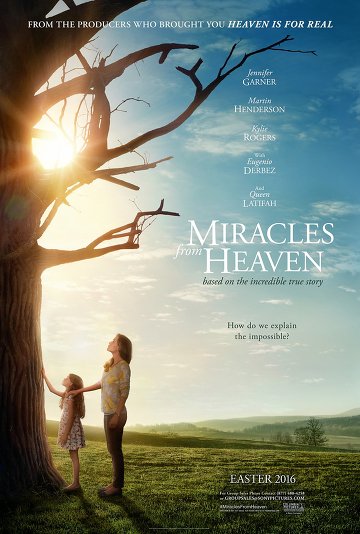Miracles From Heaven FRENCH BluRay 720p 2016