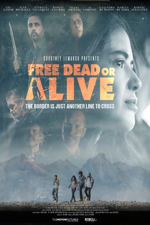 Free Dead or Alive FRENCH WEBRIP LD 1080p 2022