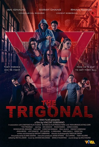 The Trigonal: Fight for Justice FRENCH WEBRIP 1080p 2022