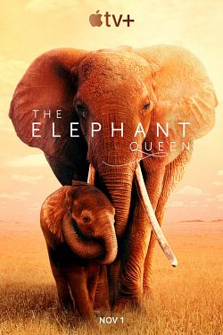 The Elephant Queen FRENCH WEBRIP 1080p 2019